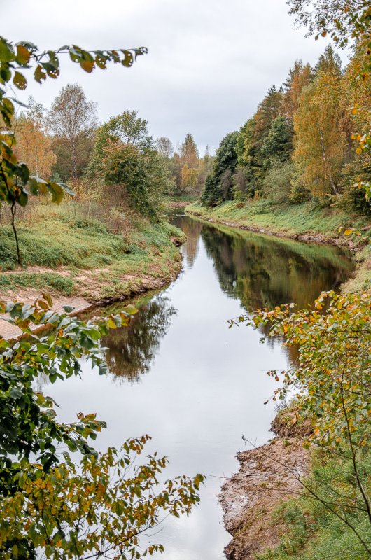 Воскресная прогулка вдоль реки.