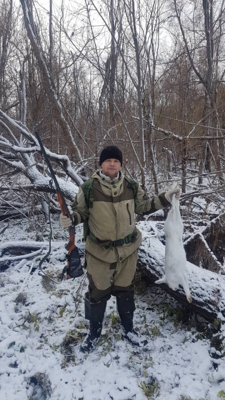 Первый снег , первый заяц.