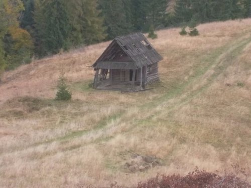 старая зимовка
