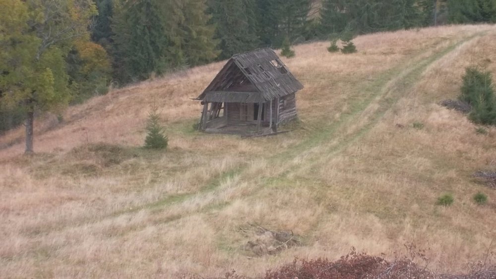старая зимовка