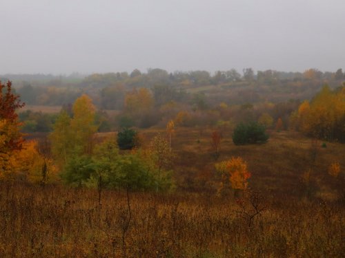 Октябрь. Белгородская область