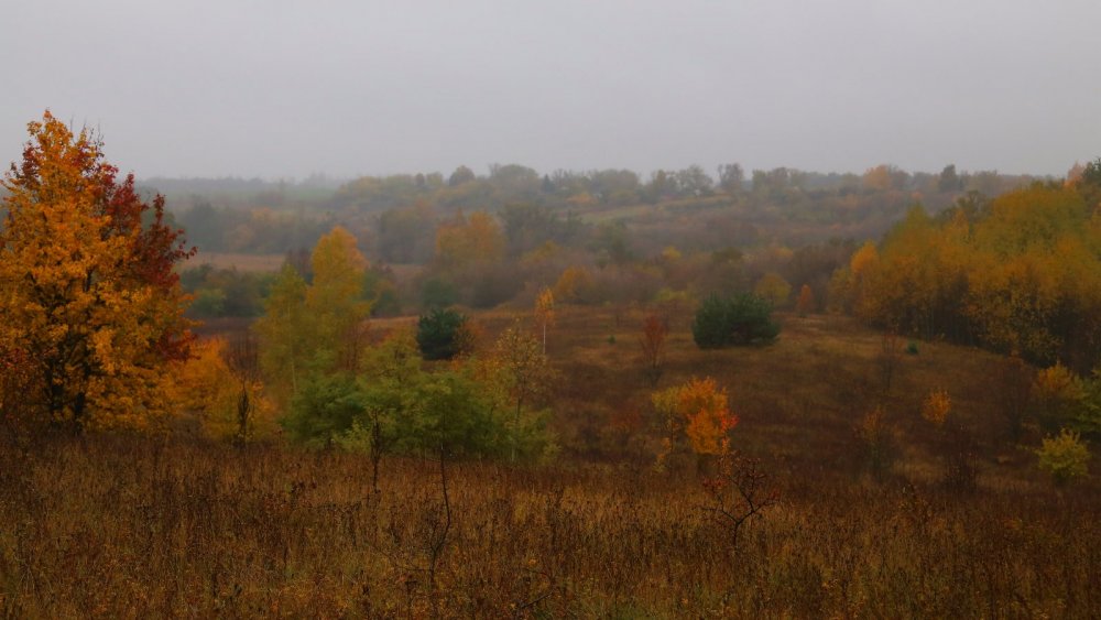 Октябрь. Белгородская область