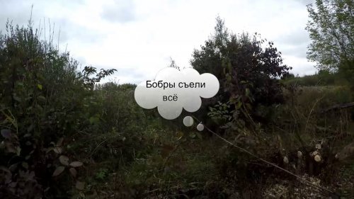 Охота с подхода 2