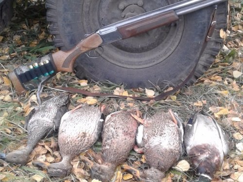 утро 03.10