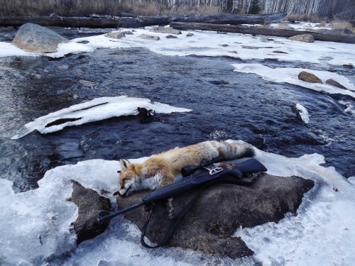 У воды и разделывать приятнее