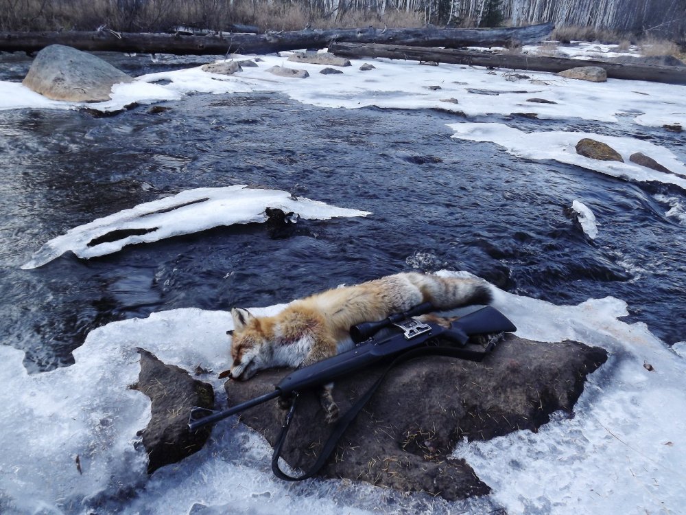 У воды и разделывать приятнее
