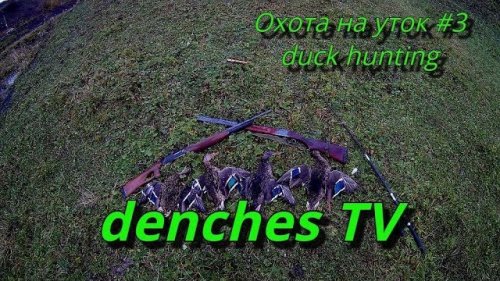 Охота на уток #3 duck hunting