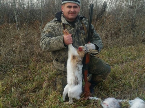 Прогулялись