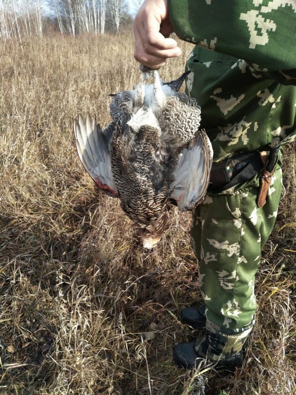 Удачно зашли!