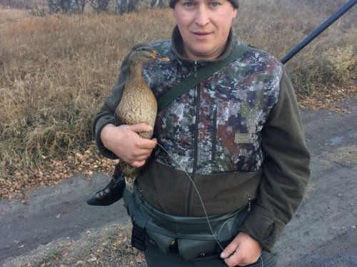 С утрянки!