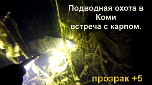 Подводная охота на озере. Республика Коми. Прозрак 5+.