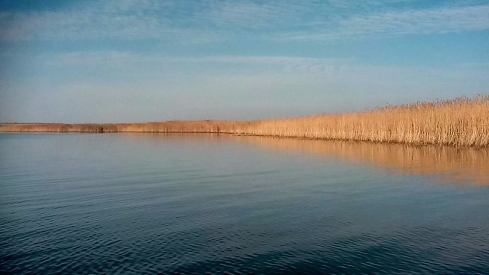 красота