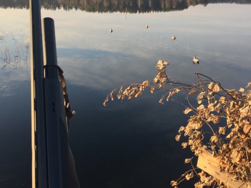 В скраде. 18.10.2107