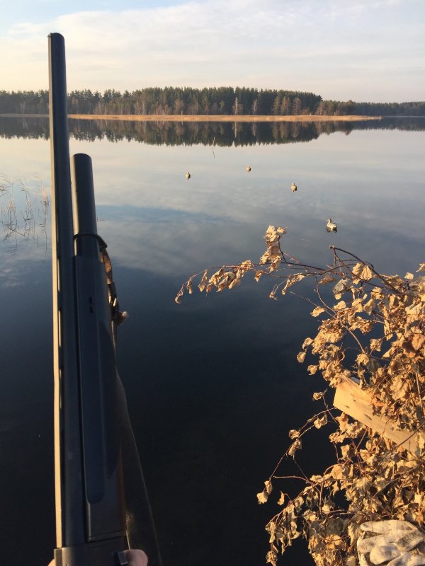 В скраде. 18.10.2107