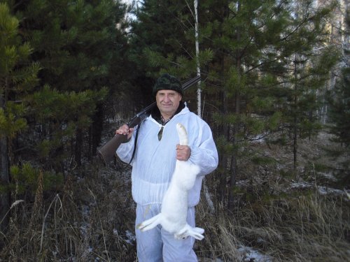 Хвойный заяц.)))