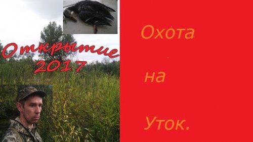 Открытие охоты.2017.