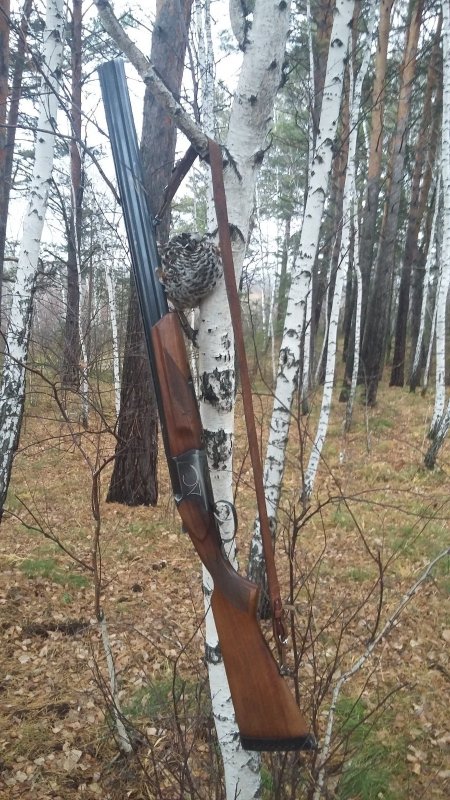 Ряба