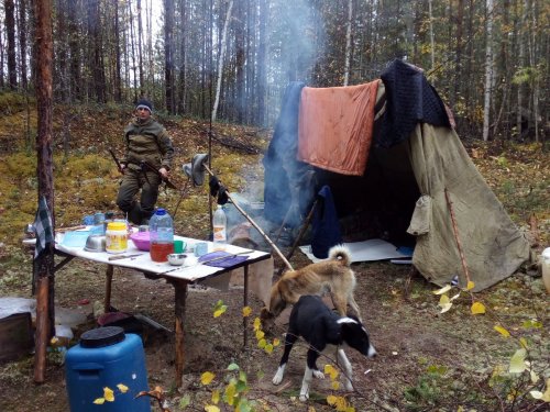 После ночного дождя