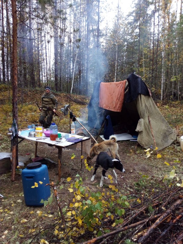 После ночного дождя