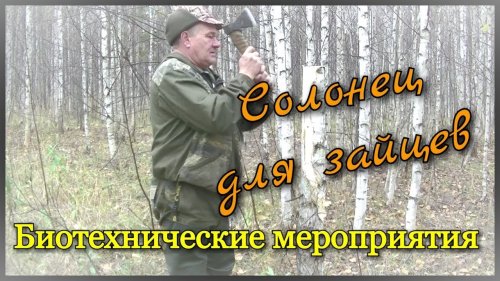 Солонец для зайцев. Биотехнические  мероприятия в охотничьих угодьях