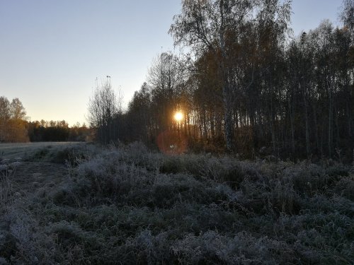 просыпается природа