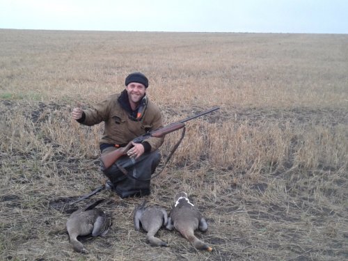 Трудовые гусаки.