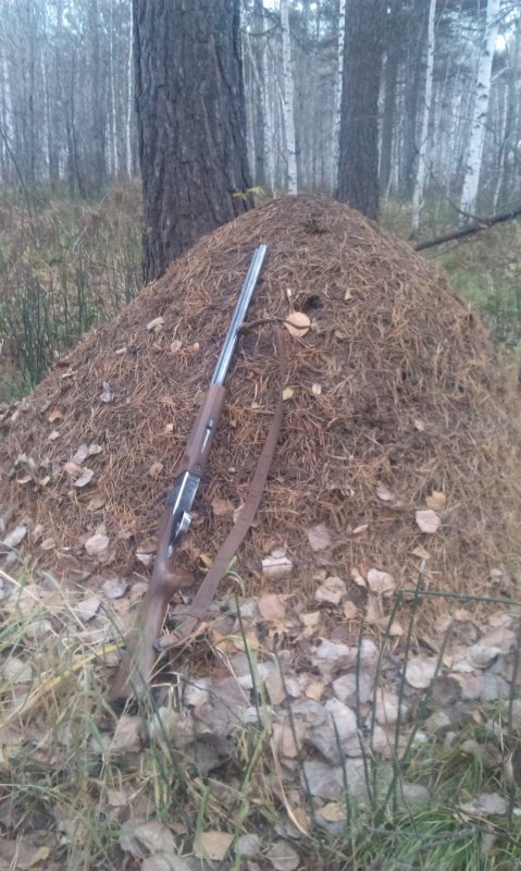 15.10 еще не спят!