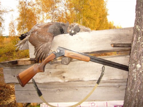 Глухарик