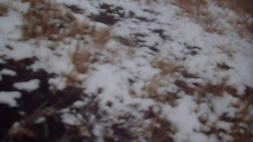 Тестирование патронов барнаул улучшенной кучности.