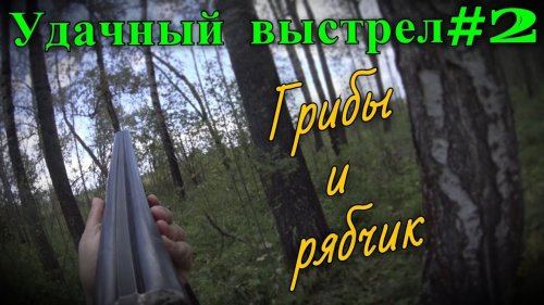 Удачный выстрел#2. Собирали опята и тут собака подняла рябчика, пришлось добыть!
