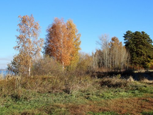 Краски осени.