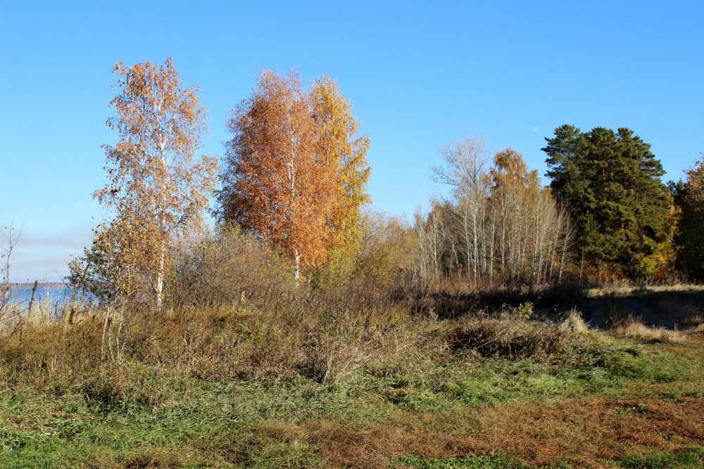 Краски осени.