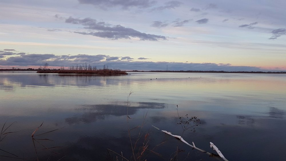 Тишина в небе и на воде
