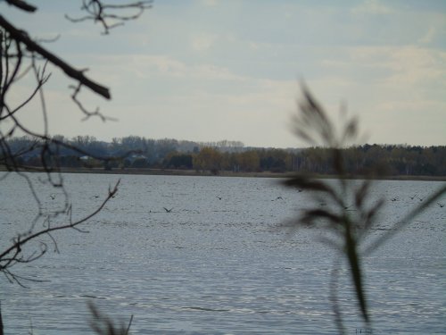 на горьком