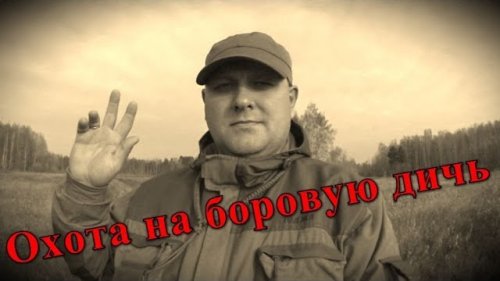 Охота на боровую дичь. По полям с русским спаниелем. Охота на рябчика с манком и с подхода
