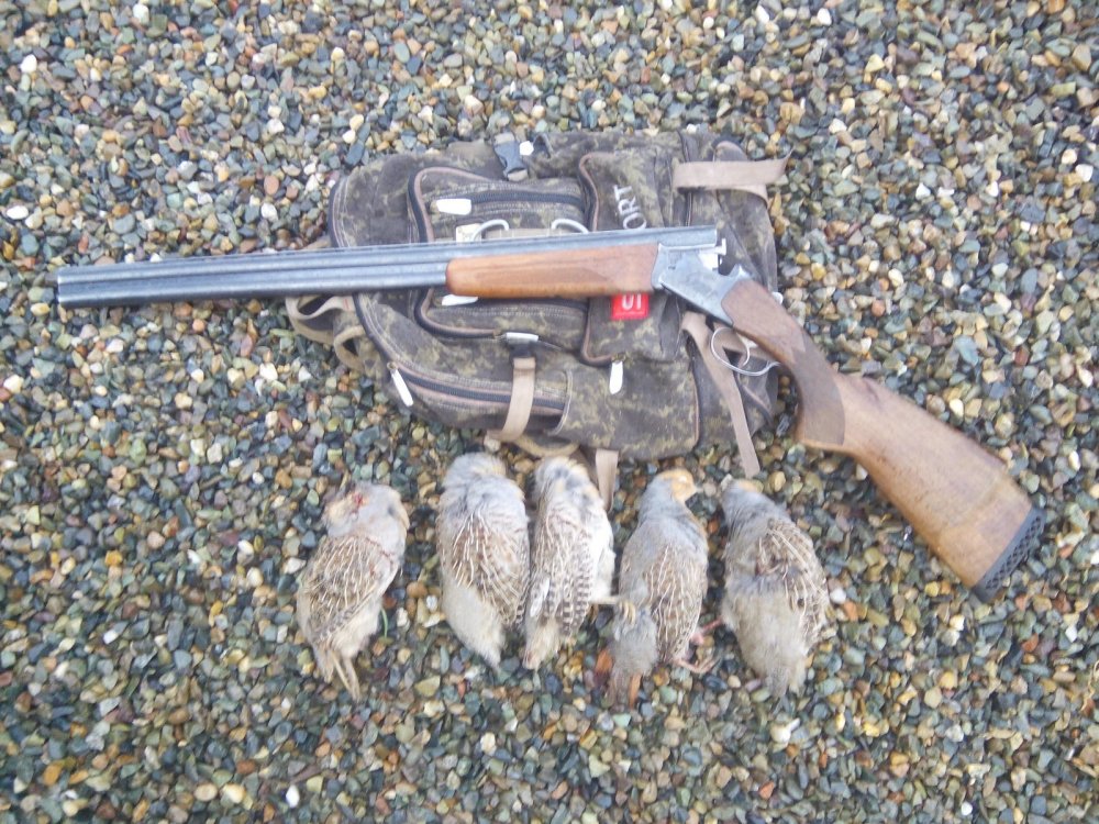 Погонял курочек