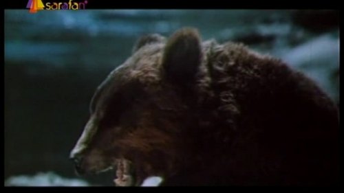 Король гор и другие 1969