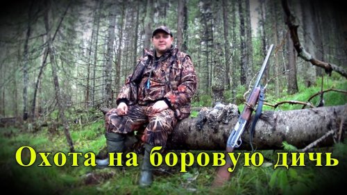 Охота на боровую дичь. Рябчики, зайцы, лоси, медведи, кого у нас только нет!