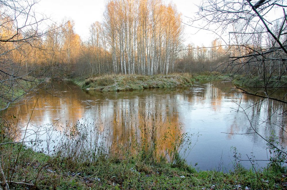 Река Холова.