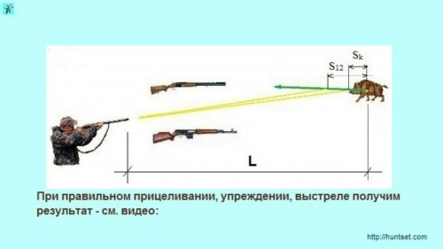 Охота на кабана. Как стрелять кабана, прицеливание