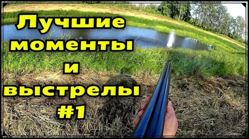 Лучшие моменты и выстрелы на охоте#3. Сезон 2017. Охота на утку осенью с русским спаниелем.