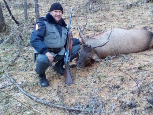 первый рогач