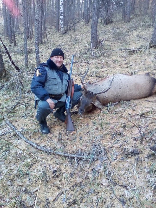 первый рогач