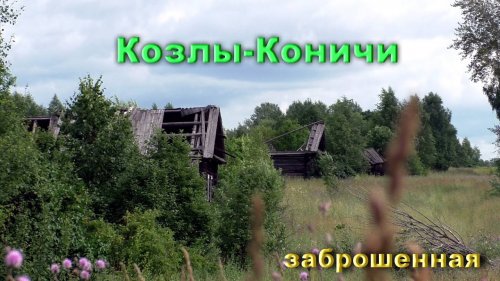 Заброшенная деревня Козлы-Коничи. Улица домов.