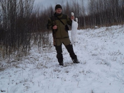 Добегался зайчишка!