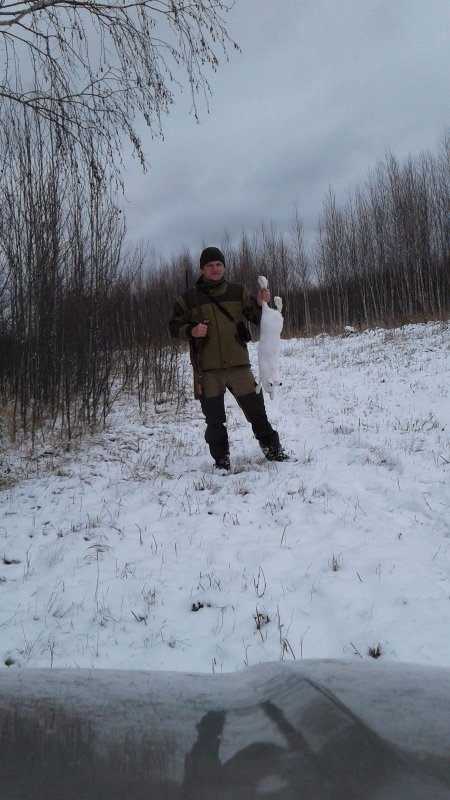 Добегался зайчишка!