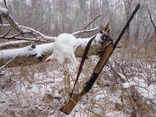 Зайка!