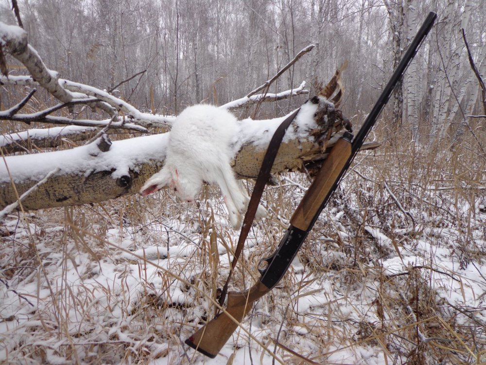 Зайка!