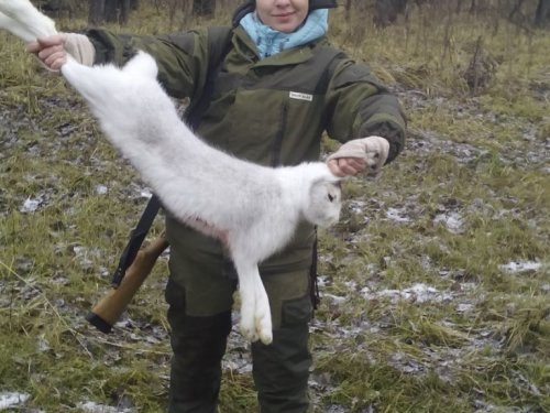 Отклылись