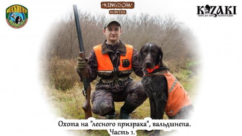 Охота на "лесного призрака", вальдшнепа.  Часть 1